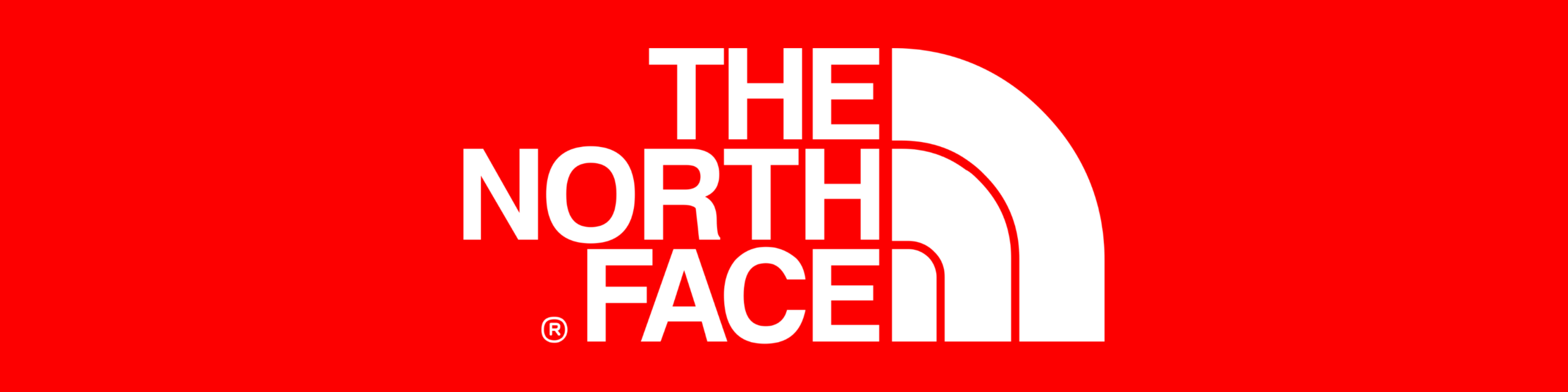 Rebajas The north face